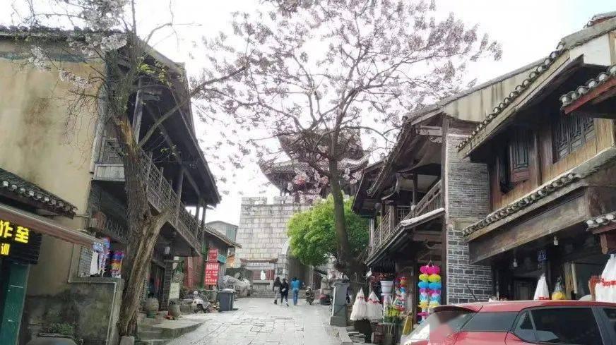 卡哇伊拳击手